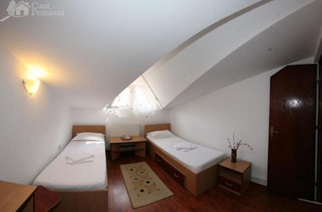 Pensiunea Ramona トゥルチャ 部屋 写真